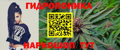 ПСИЛОЦИБИНОВЫЕ ГРИБЫ Можга